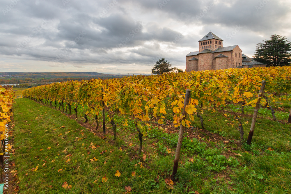 Parish church Johannisberg with autumnal coloured vinyards