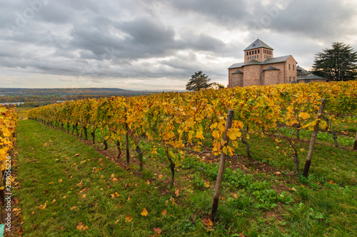 Parish church Johannisberg with autumnal coloured vinyards photo