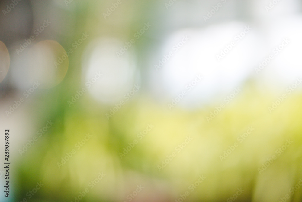 Obraz premium Abstract background with green bokeh.