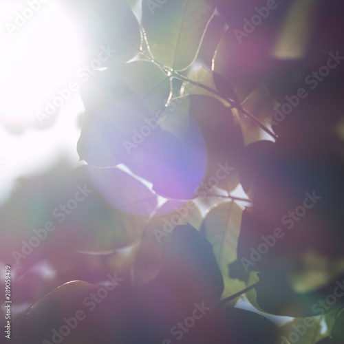 Atmospheric background with a blue lens flare in a green environment.