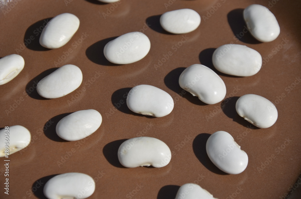 White beans on a brown plate. nutrition. food. eco-products in farm. Organic. Vegetarian. Health life White beans on a brown plate. nutrition. food. eco-products in farm. Organic. Vegetarian. Health life