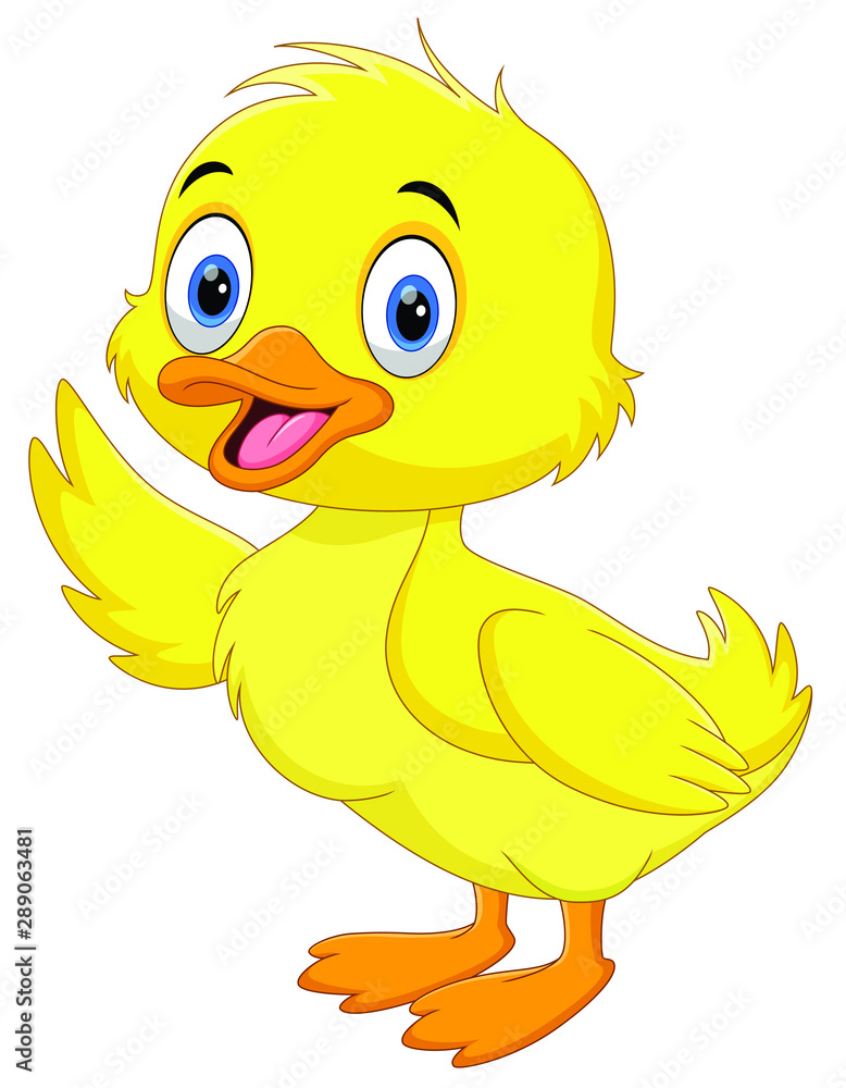 Cute duck cartoon waving isolated on white background Cute duck cartoon waving isolated on white background
