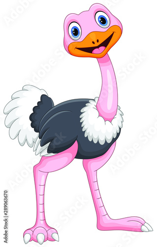 Vector illustration of Cartoon ostrich isolated on white background