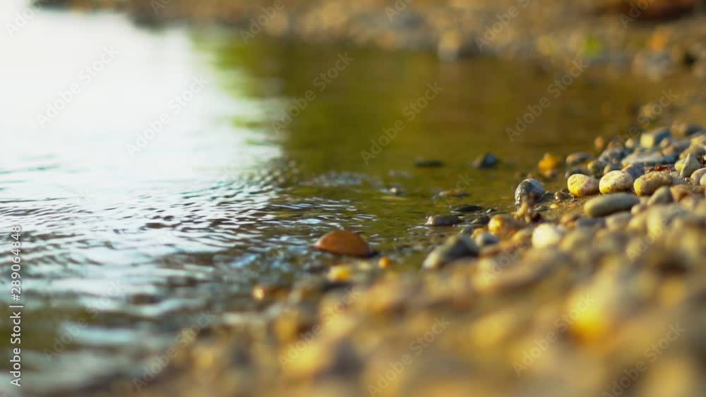 stones on the river Bank stones on the river Bank