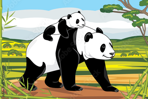 Panda mom and her baby on a landscape background