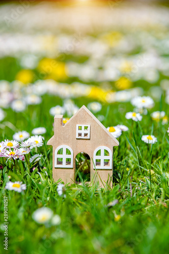 The symbol of the house stands among white daisies 