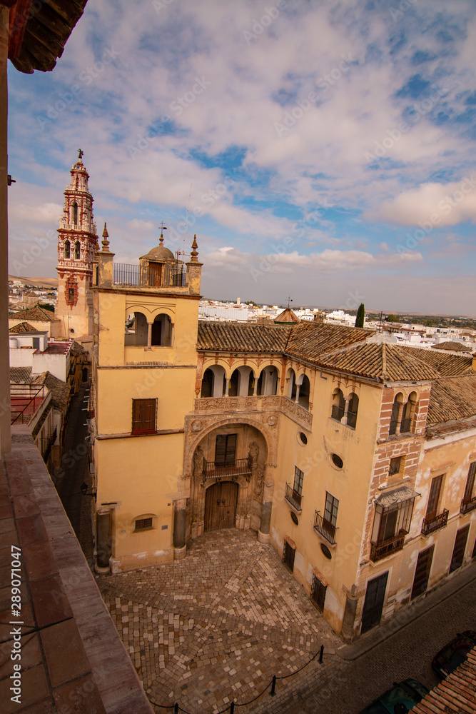 Fototapeta premium Palacio de Valdehermoso, Écija, Sevilla, Andalucía, España