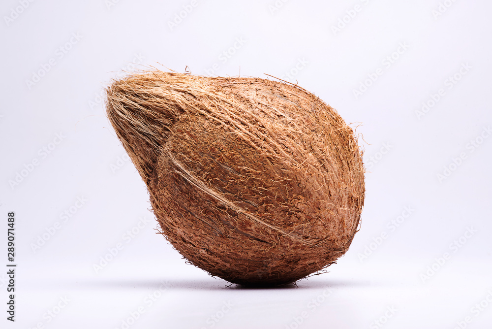 Closeup of a coconut on a isolated white background Closeup of a coconut on a isolated white background