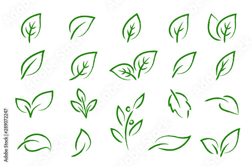 green leaves branches icons eco set silhouettes
