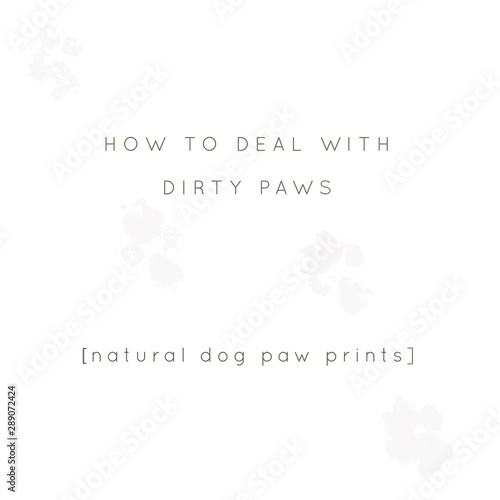 Vector minimal background for a pet related topic with paw prints. Vector hand drawn objects with a text.
