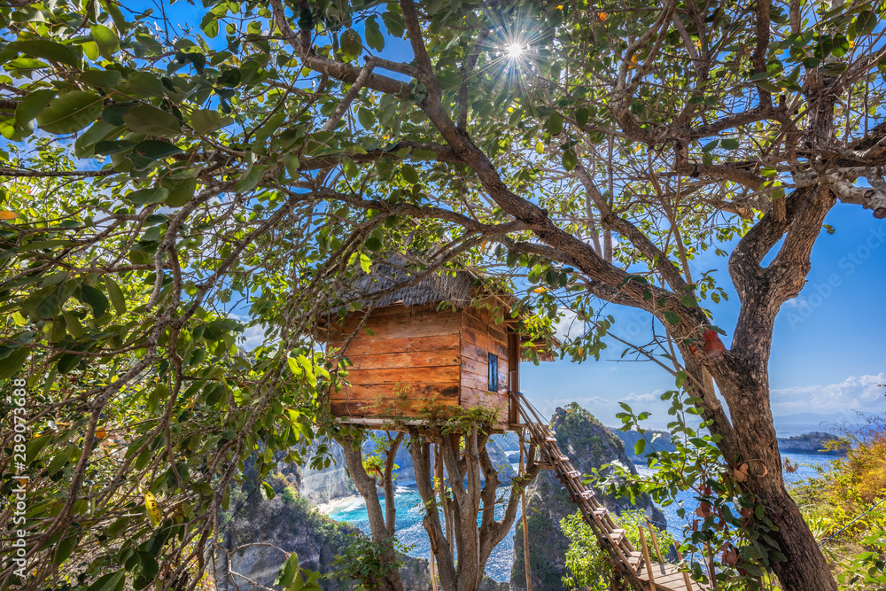 Traditional house on tree ,House on tree in Nusa Island,Bali,Indonesia. Traditional house on tree ,House on tree in Nusa Island,Bali,Indonesia.