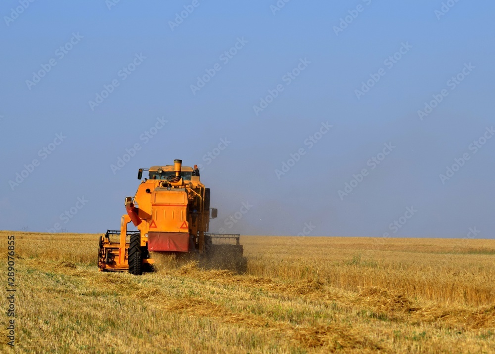 Fototapeta premium combine harvester