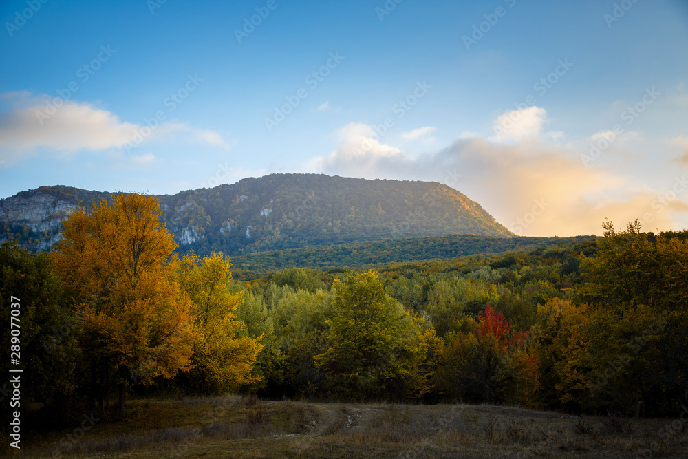Beautiful orange and red autumn forest, many trees on the orange hills,