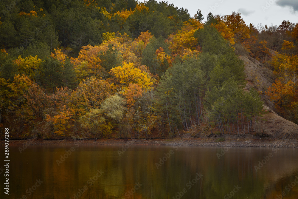 Fototapeta premium Autumn forest reflected in water. Colorful autumn morning in the mountains.