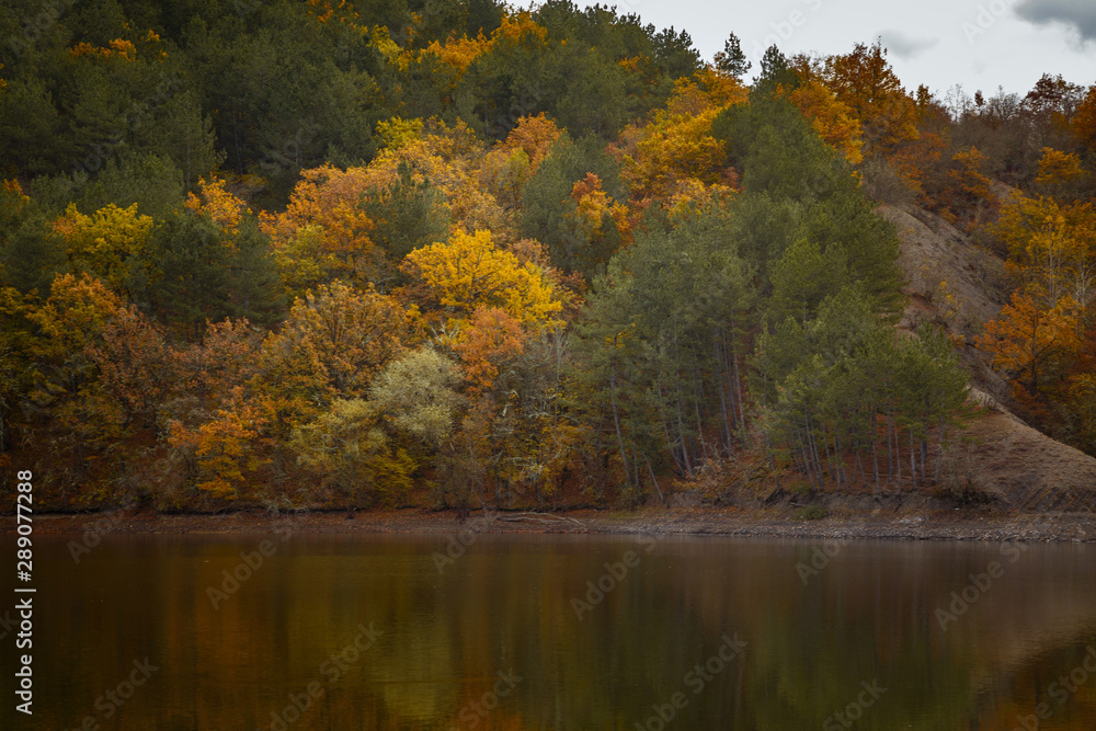 Autumn forest reflected in water. Colorful autumn morning in the mountains.