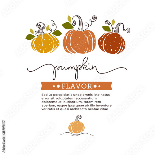 Doodle Pumpkin Flavor Vector template with calligraphy letttering composition for your label, sticker or menu background photo