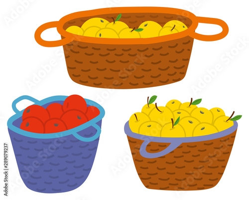 Three wicker straw baskets full of yellow and red apples isolated on white background. Fresh and ripe fruits autumn garden harvest vector illustration. Picking apples concept. Flat cartoon