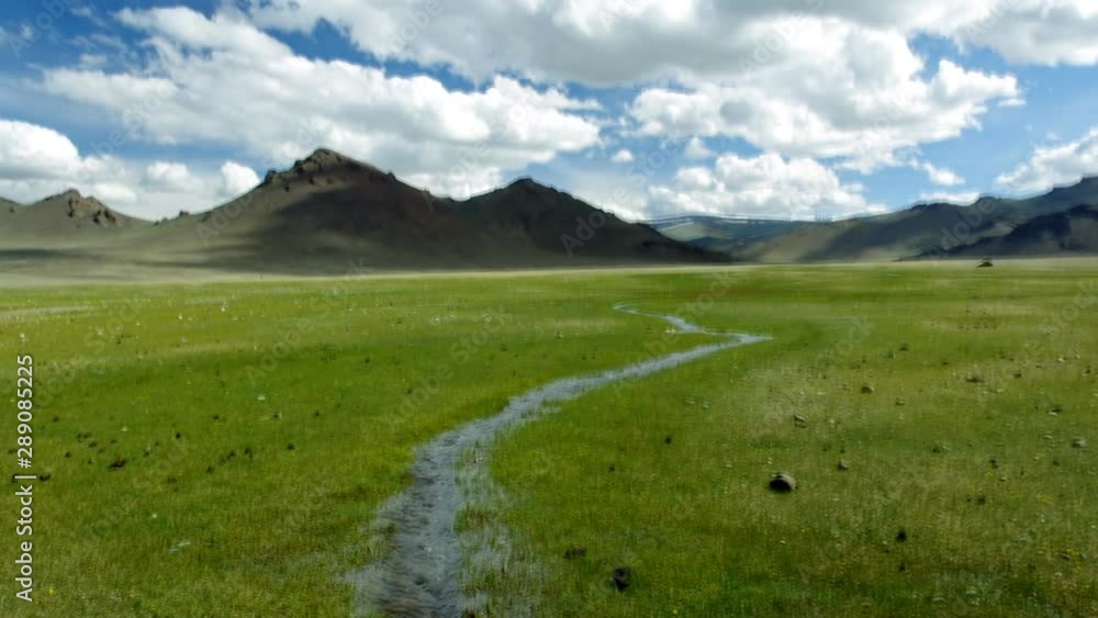 Mongolian Altai.  Current mountain stream, Scenic valley on the background of the   snowcapped mountains.