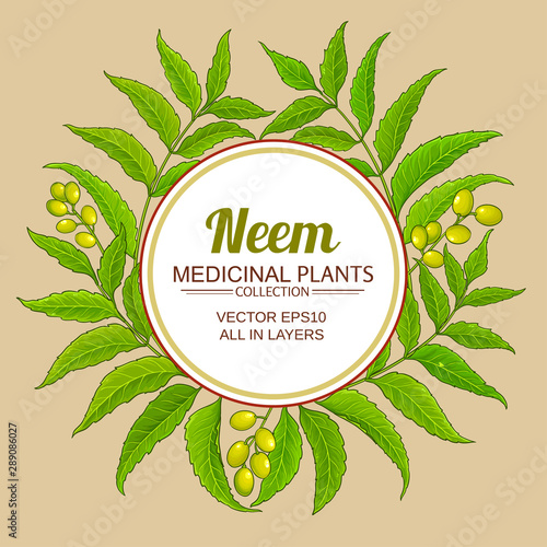 neem vector frame