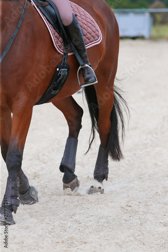 Horse in the riding arena with rider in close-up, head, stirrup, boots spurs.. © RD-Fotografie