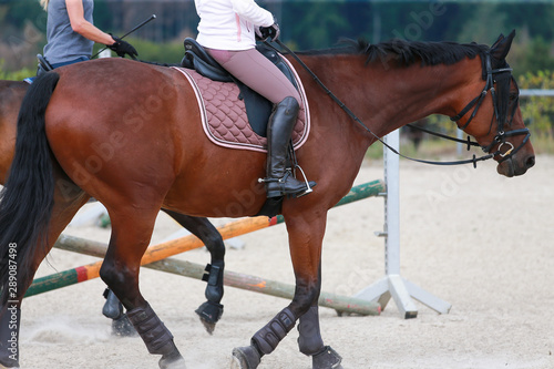 Horse in the riding arena with rider in close-up, head, stirrup, boots spurs..