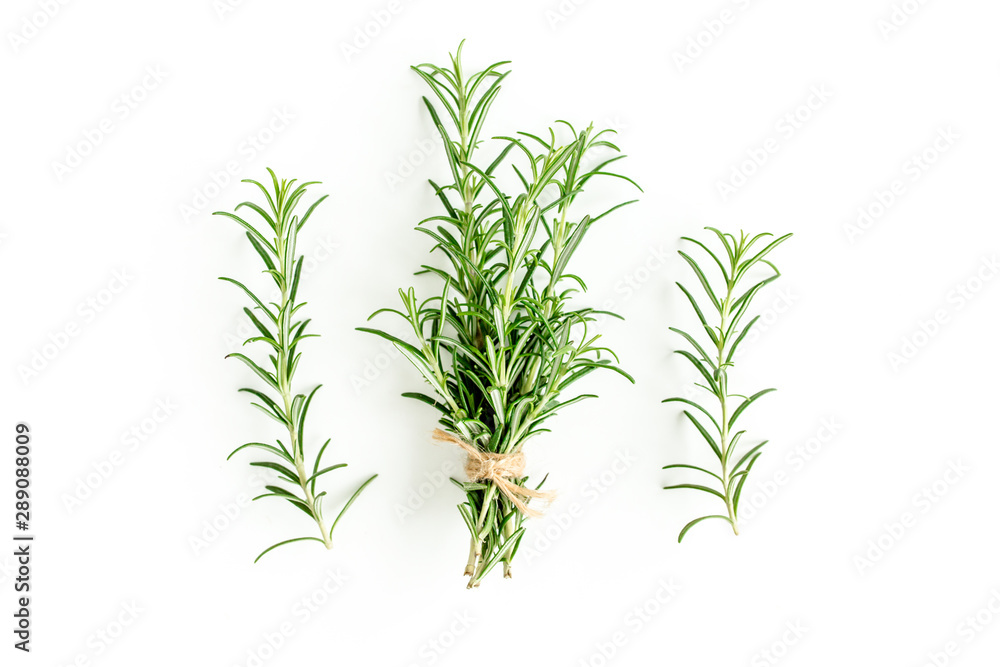 Fototapeta premium Green bundle of rosemary isolated on a white background. Мedicinal herbs. Flat lay. Top view