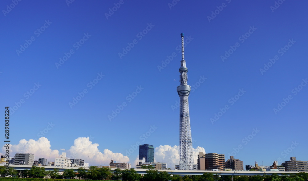 Naklejka premium 東京スカイツリーのある風景
