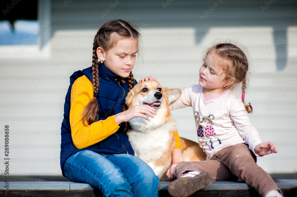 Two little girls petting a corgi dog