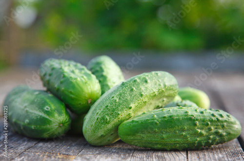 cucumbers on the wooden table