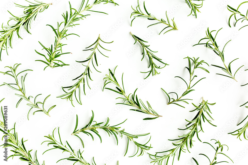 Green branchs and leaves of rosemary isolated on a white background. Мedicinal herbs. Flat lay. Top view Green branchs and leaves of rosemary isolated on a white background. Мedicinal herbs. Flat lay. Top view