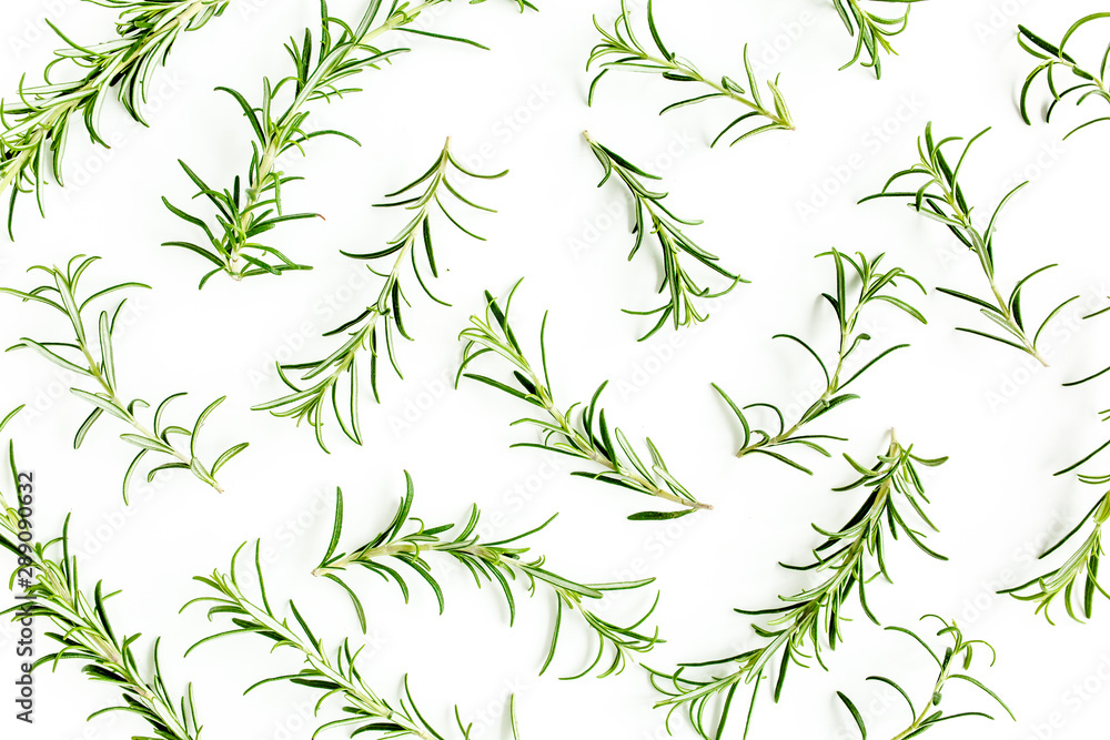 Green branchs and leaves of rosemary isolated on a white background. Мedicinal herbs. Flat lay. Top view - obrazy, fototapety, plakaty 