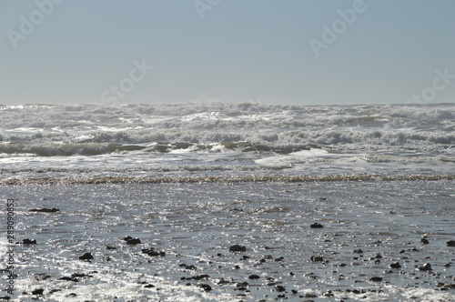 Vagues en bord de mer