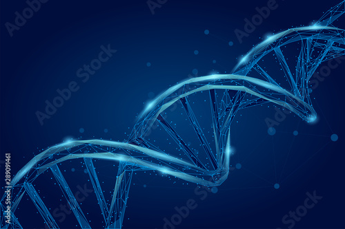 Abstract 3d polygonal wireframe DNA molecule helix spiral. Medical science, genetic biotechnology, chemistry biology, gene cell concept vector illustration