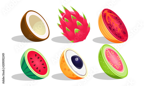 Tropical Fruits Set, Dragon Fruit, Coconut, Watermelon, Guava, Longan Vector Illustration