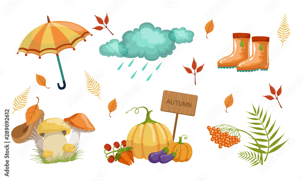 Autumn Season Objects Collection, Autumnal Design Elements, Umbrella, Rainy Cloud, Rubber Boots, Mushrooms, Vegetables, Mountain Ash Leaves Vector Illustration Autumn Season Objects Collection, Autumnal Design Elements, Umbrella, Rainy Cloud, Rubber Boots, Mushrooms, Vegetables, Mountain Ash Leaves Vector Illustration