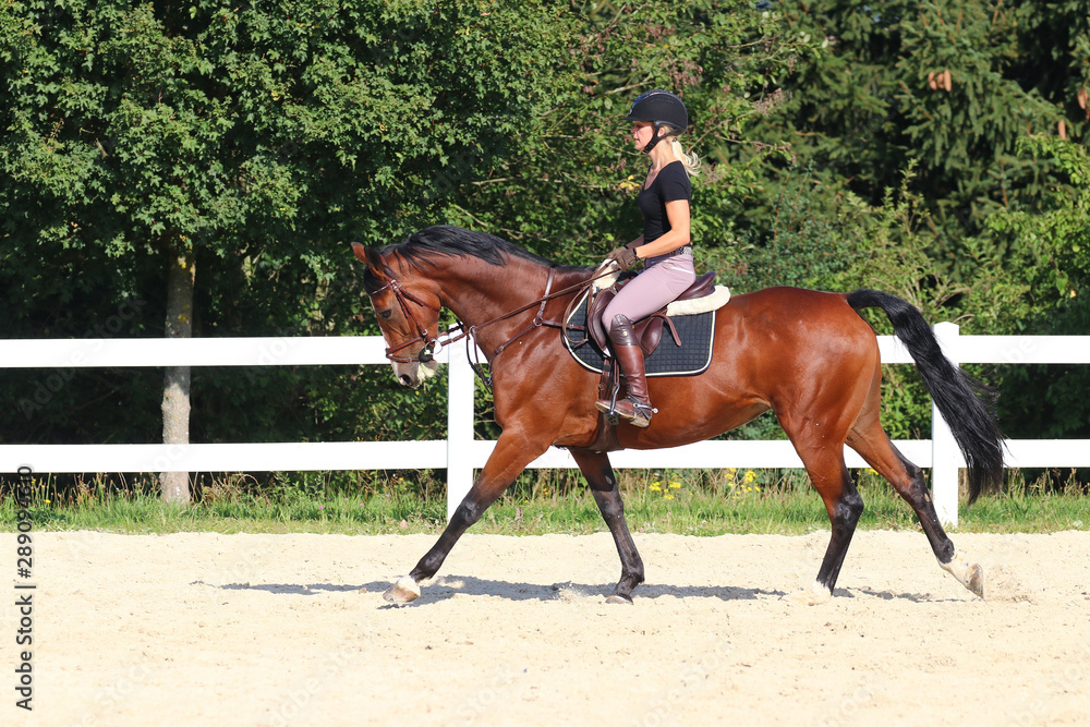 Horse with his young blond horsewoman riding in the riding arena in the sunshine.. Horse with his young blond horsewoman riding in the riding arena in the sunshine..