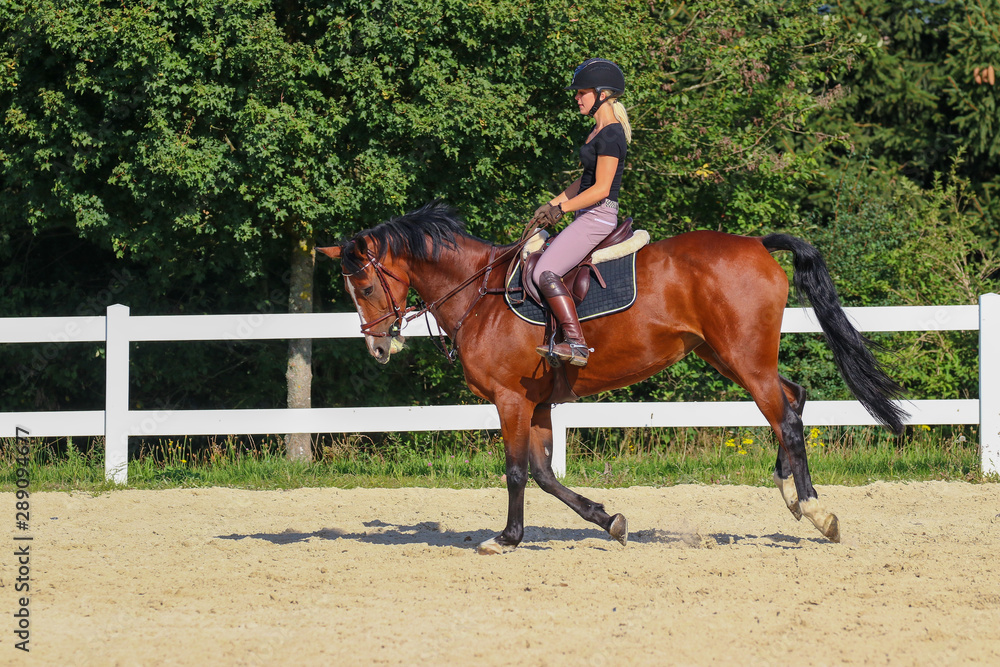 Horse with his young blond horsewoman riding in the riding arena in the sunshine.. Horse with his young blond horsewoman riding in the riding arena in the sunshine..