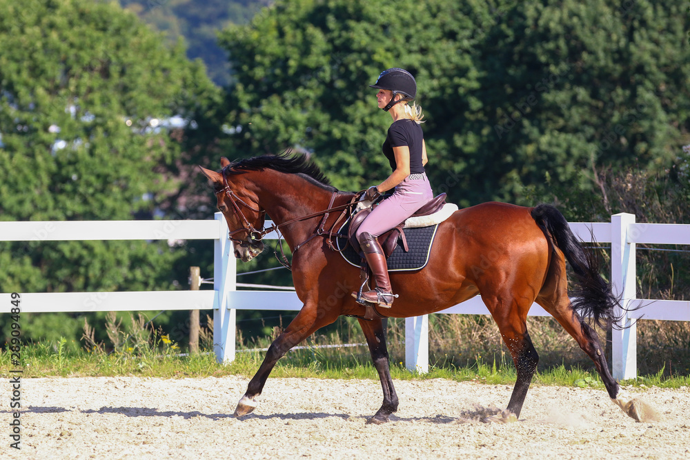 Horse with his young blond horsewoman riding in the riding arena in the sunshine.. Horse with his young blond horsewoman riding in the riding arena in the sunshine..