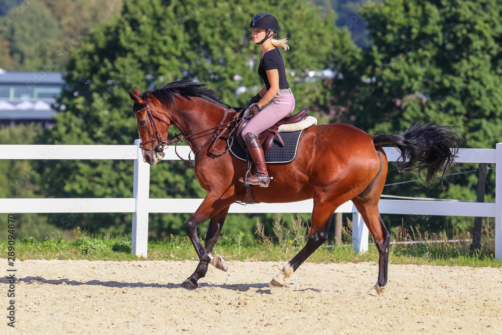 Horse with his young blond horsewoman riding in the riding arena in the sunshine..