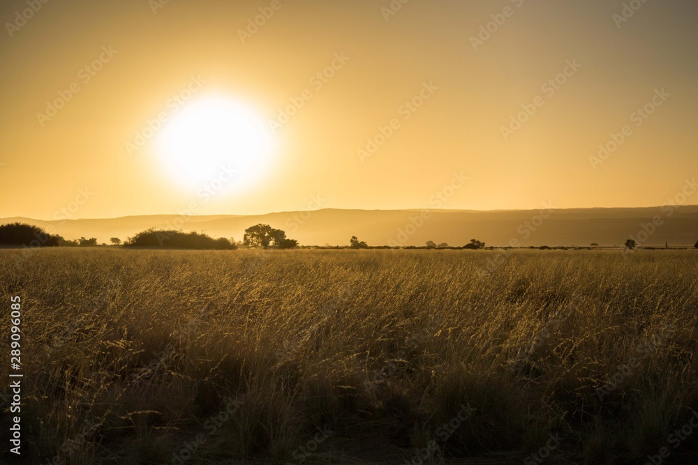 Sunset over the African savannah, landscape, showing waving grass, orange sky, and vast plain with no people or animals around. Copy space at top and bottom. Suitable for peaceful poster or meme