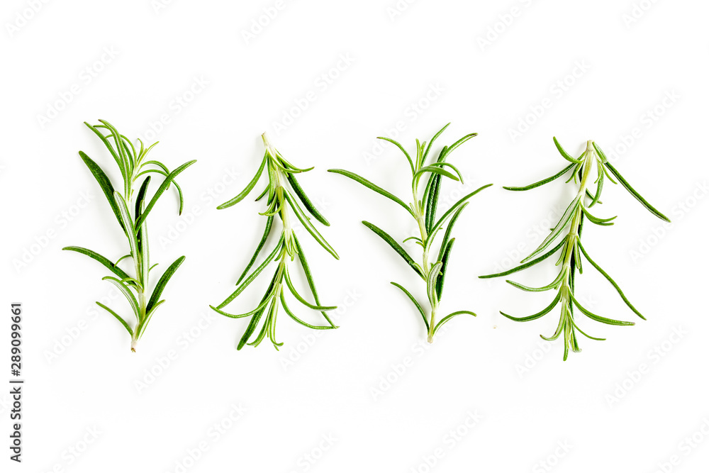 Fototapeta premium Green branchs and leaves of rosemary isolated on a white background. Мedicinal herbs. Flat lay. Top view