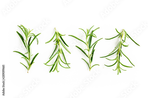 Fototapeta Naklejka Na Ścianę i Meble -  Green branchs and leaves of rosemary isolated on a white background. Мedicinal herbs. Flat lay. Top view