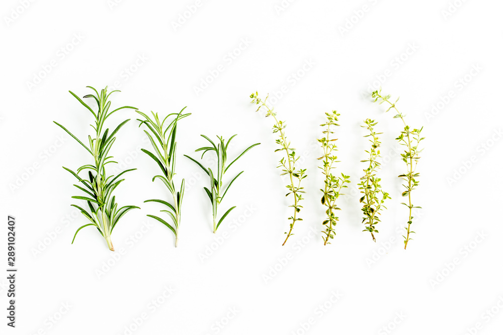 Green branchs of rosemary and thyme isolated on a white background. Flat lay. Top view Green branchs of rosemary and thyme isolated on a white background. Flat lay. Top view