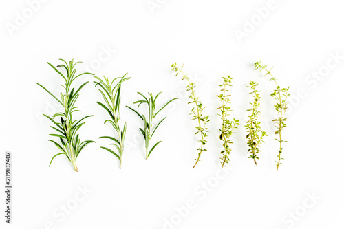 Green branchs of rosemary and thyme isolated on a white background. Flat lay. Top view