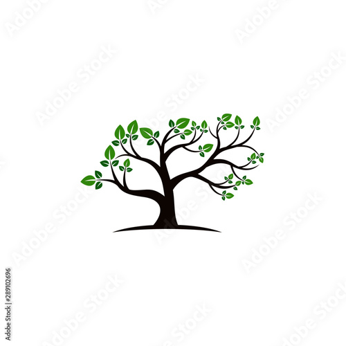 Tree vector icon. logo design elements.