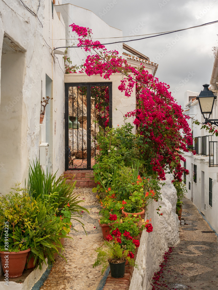 Frigliana costa Del Sol Spain April 18 2019 close up view of the narrow streets flora with potted plants