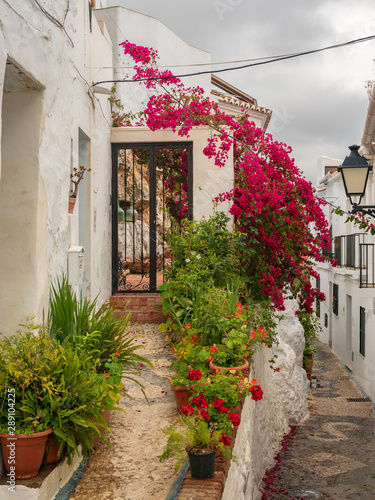 Frigliana costa Del Sol Spain April 18 2019 close up view of the narrow streets flora with potted plants
