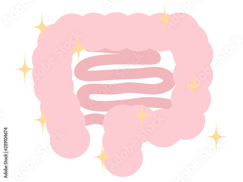 綺麗な大腸