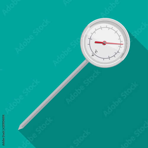 kitchen thermometer.