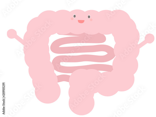 かわいい大腸と小腸